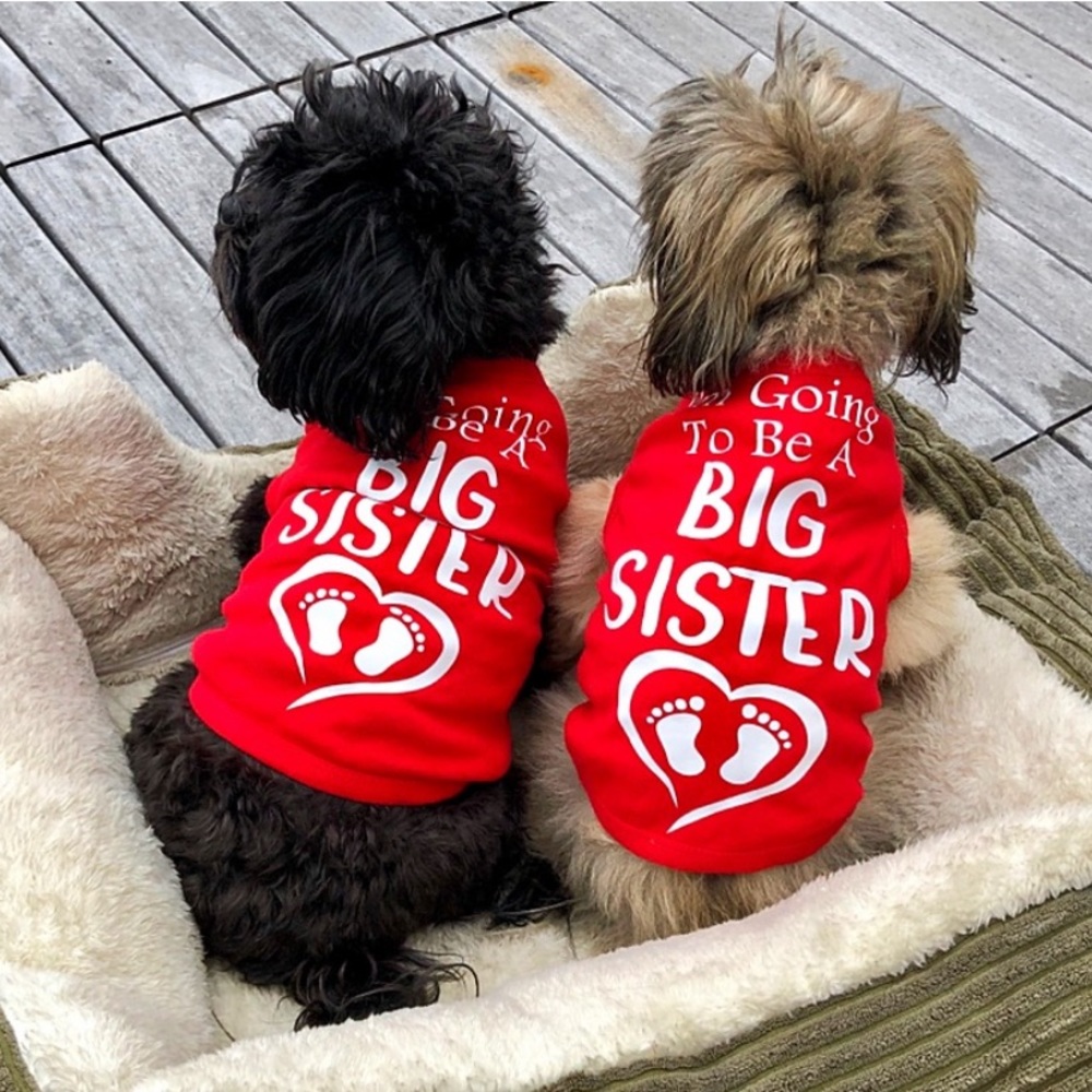 Baby Birth Announcement I’m Going to be a Big Sister Dog T-Shirt